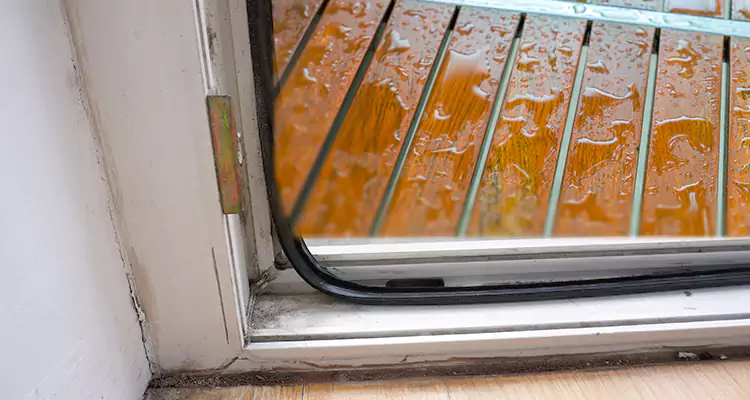 Water Leaking Wooden Patio Doors Repair in Carrollwood, FL