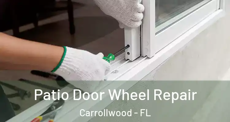  Patio Door Wheel Repair Carrollwood - FL