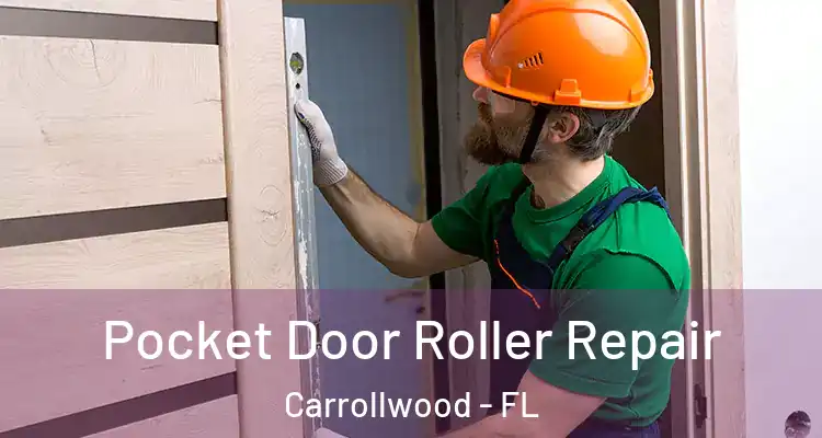  Pocket Door Roller Repair Carrollwood - FL