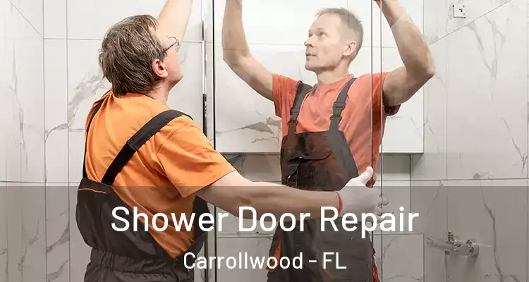  Shower Door Repair Carrollwood - FL