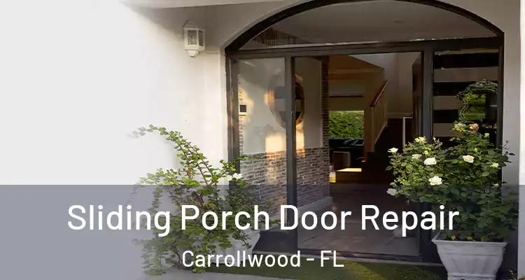  Sliding Porch Door Repair Carrollwood - FL