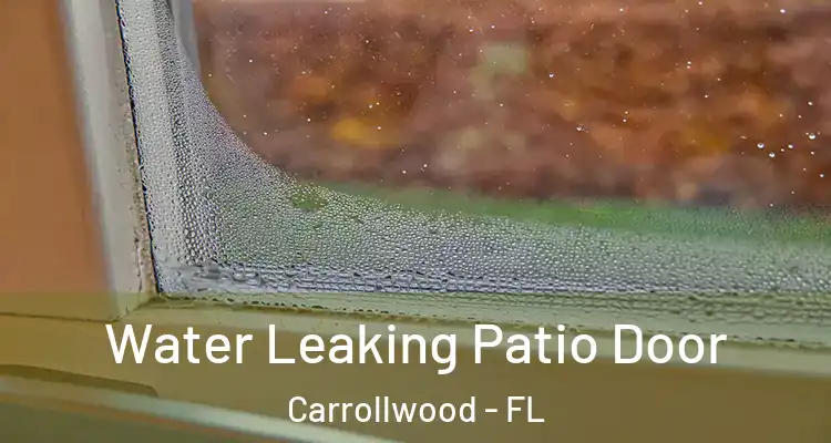  Water Leaking Patio Door Carrollwood - FL