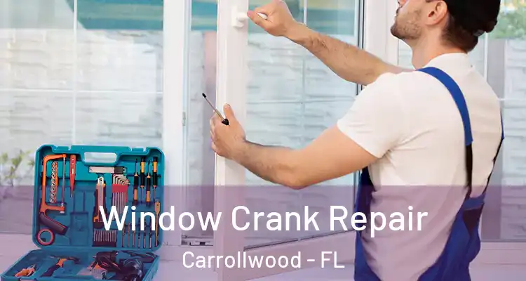 Window Crank Repair Carrollwood - FL